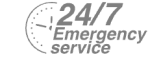 24/7 Emergency Service Pest Control in Longfield, Hartley, New Ash Green, DA3. Call Now! 020 8166 9746