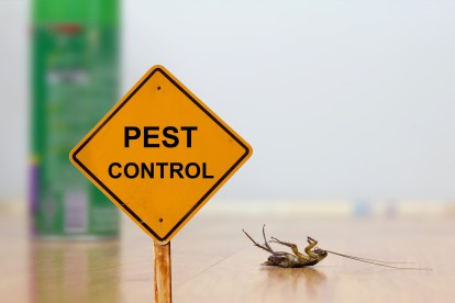 Pest Contol in Longfield, Hartley, New Ash Green, DA3. Call Now 020 8166 9746